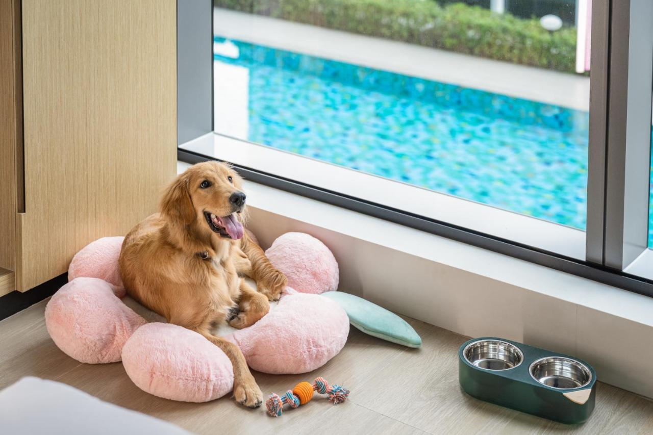 Hyatt Place New Taipei City Xinzhuang Εξωτερικό φωτογραφία